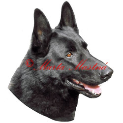 Samolepka německý ovčák