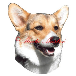 Samolepka velškorgi