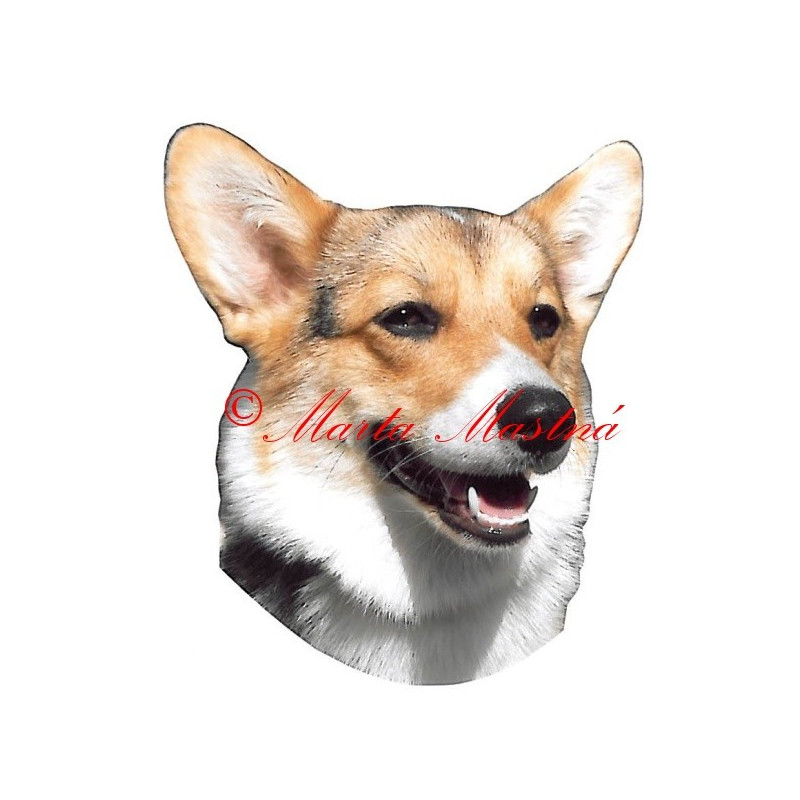 Samolepka velškorgi