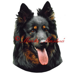 Samolepka chodský pes