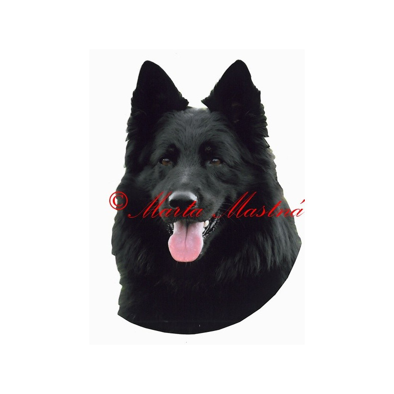 Samolepka chodský pes, ovčák