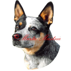 Samolepka australský honácký pes