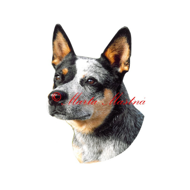 Samolepka australský honácký pes