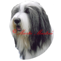 Samolepka bearded kolie