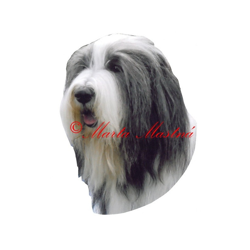 Samolepka bearded kolie