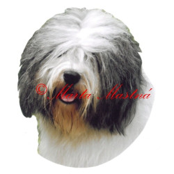 Samolepka polský nížinný ovčák