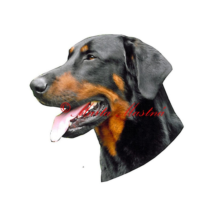 Samolepka beauceron