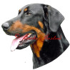 Samolepka beauceron