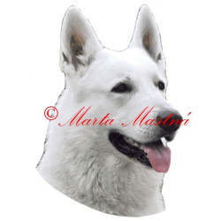 Samolepka bílý švýcarský ovčák