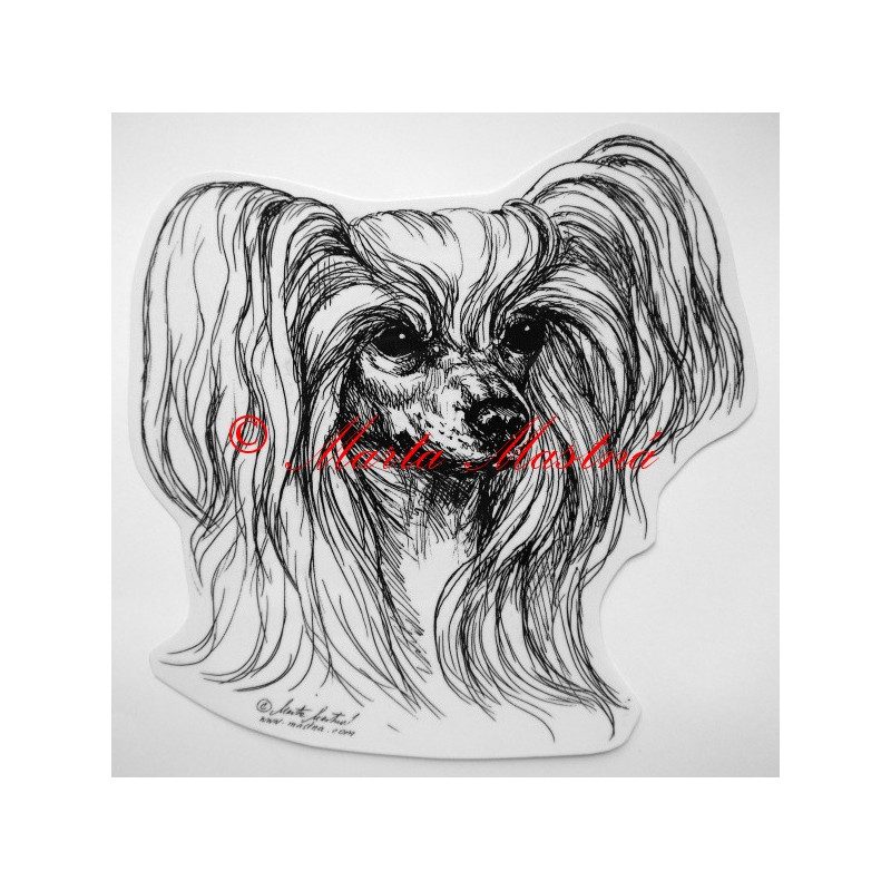 Čínský chocholatý pes