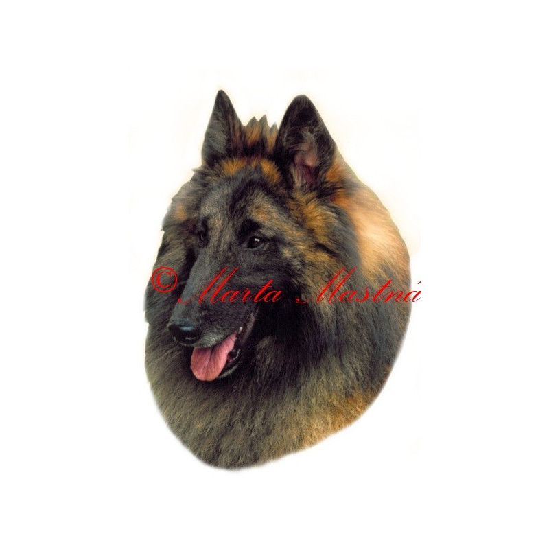 Samolepka belgický ovčák tervueren