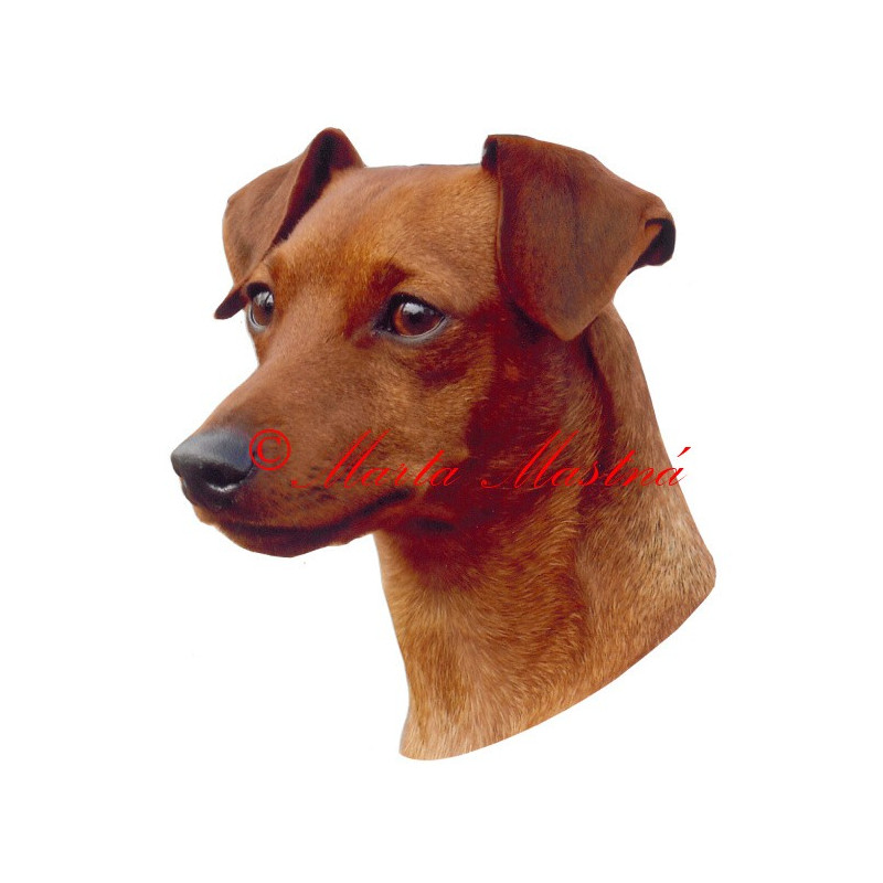 Samolepka pinč malý hladkosrstý