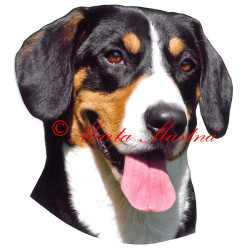 Samolepka entlebušský salašnický pes