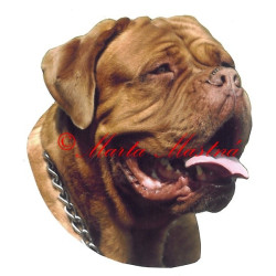 Samolepka bordeauxská doga