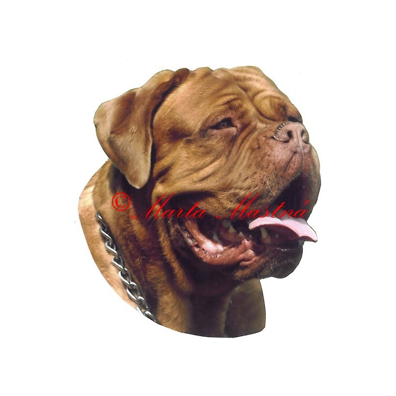 Samolepka bordeauxská doga