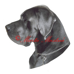 Samolepka německá doga