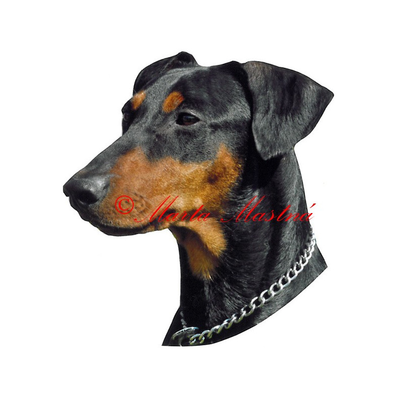 Samolepka německý pinč