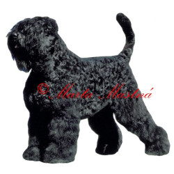 Samolepka černý ruský teriér