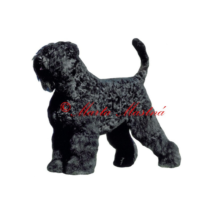 Samolepka černý ruský teriér