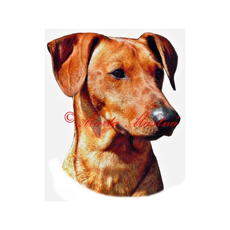 Samolepka německý pinč