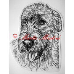 Irský vlkodav - wolfhound
