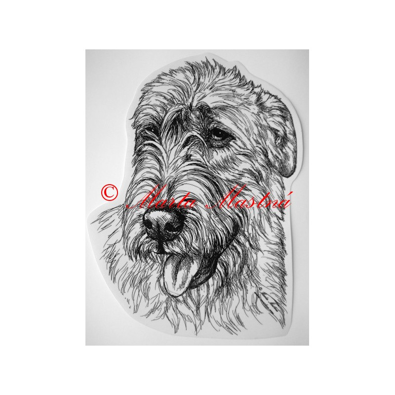 Irský vlkodav - wolfhound