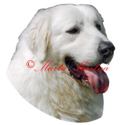 Samolepka slovenský čuvač