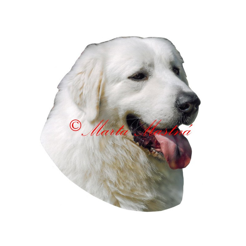 Samolepka slovenský čuvač