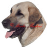 Samolepka anatolský pastevecký, kangal