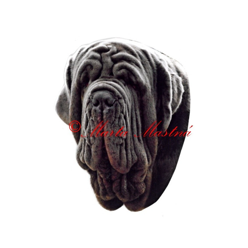 Samolepka neapolský mastin