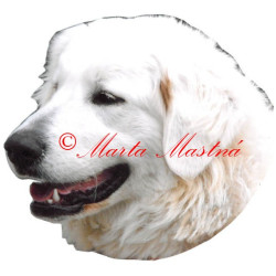 Samolepka slovenský čuvač