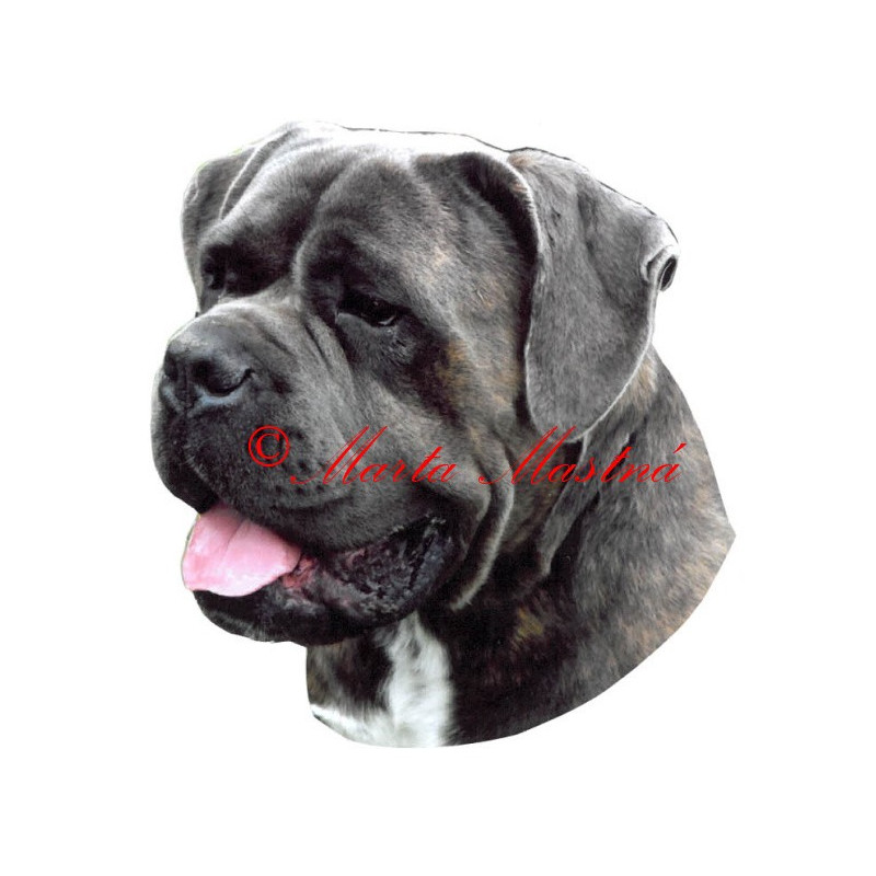 Samolepka cane corso