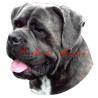 Samolepka cane corso