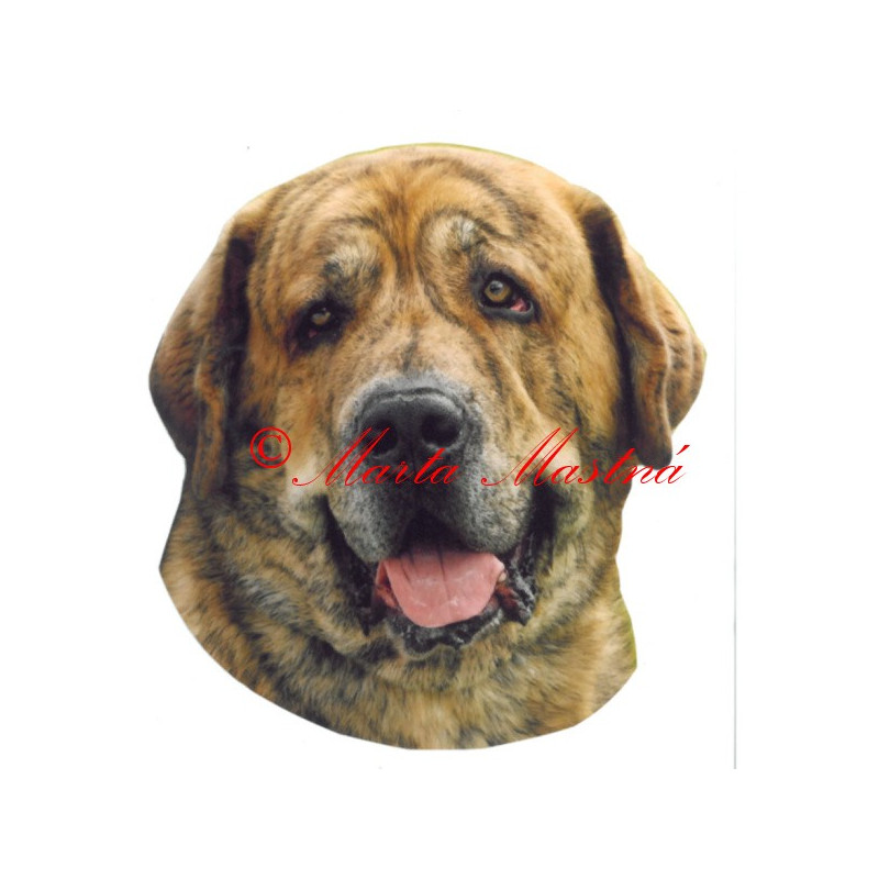 Samolepka španělský mastin