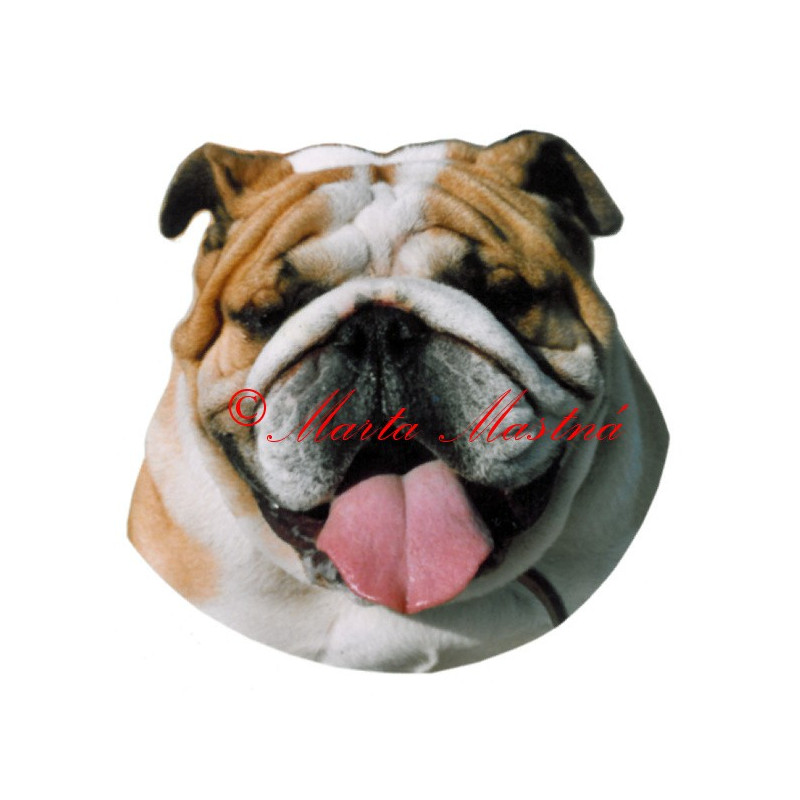 Samolepka buldok anglický