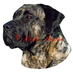 Samolepka kanárská doga, presa canario