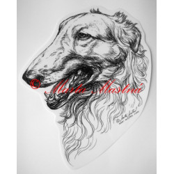 Ruský chrt - barzoj