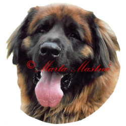 Samolepka leonberger