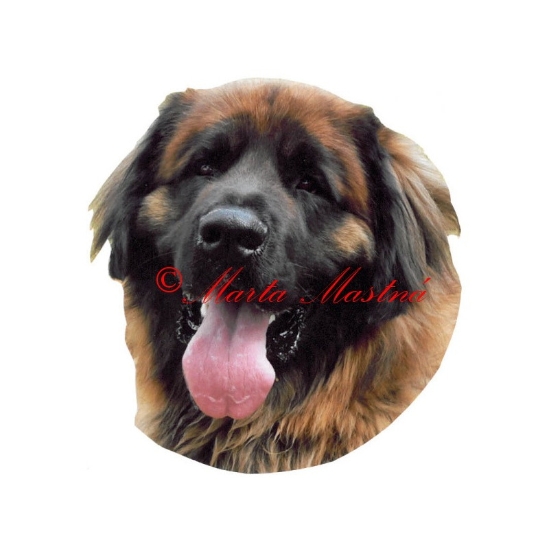 Samolepka leonberger