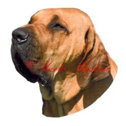 Samolepka brazilská fila