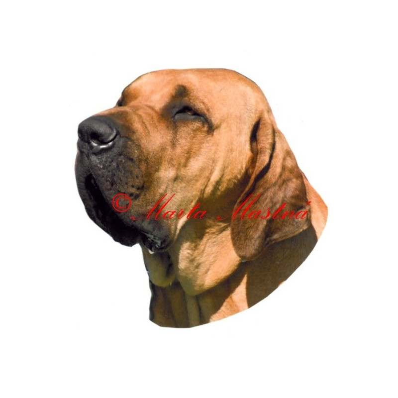 Samolepka brazilská fila