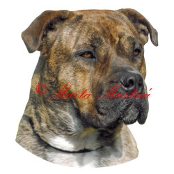 Samolepka presa malorka