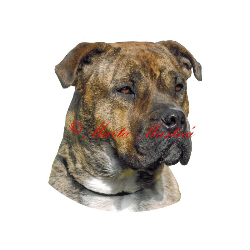 Samolepka presa malorka