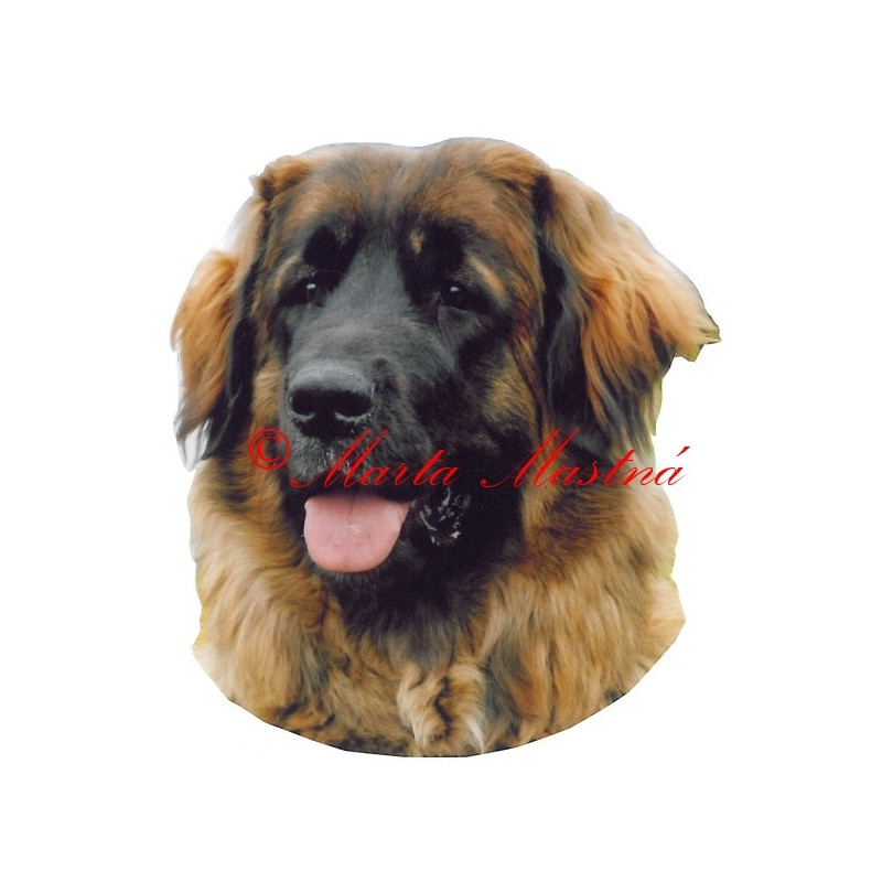 Samolepka leonberger