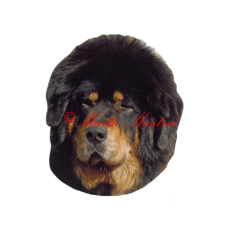 Samolepka tibetská doga