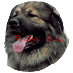 Samolepka kavkazský pastevecký pes