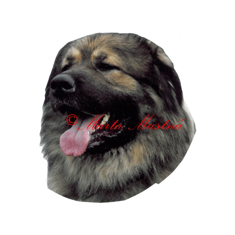 Samolepka kavkazský pastevecký pes