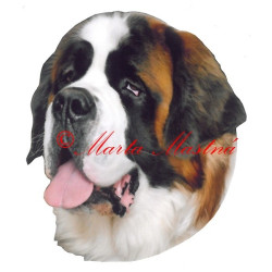 Samolepka bernardýn