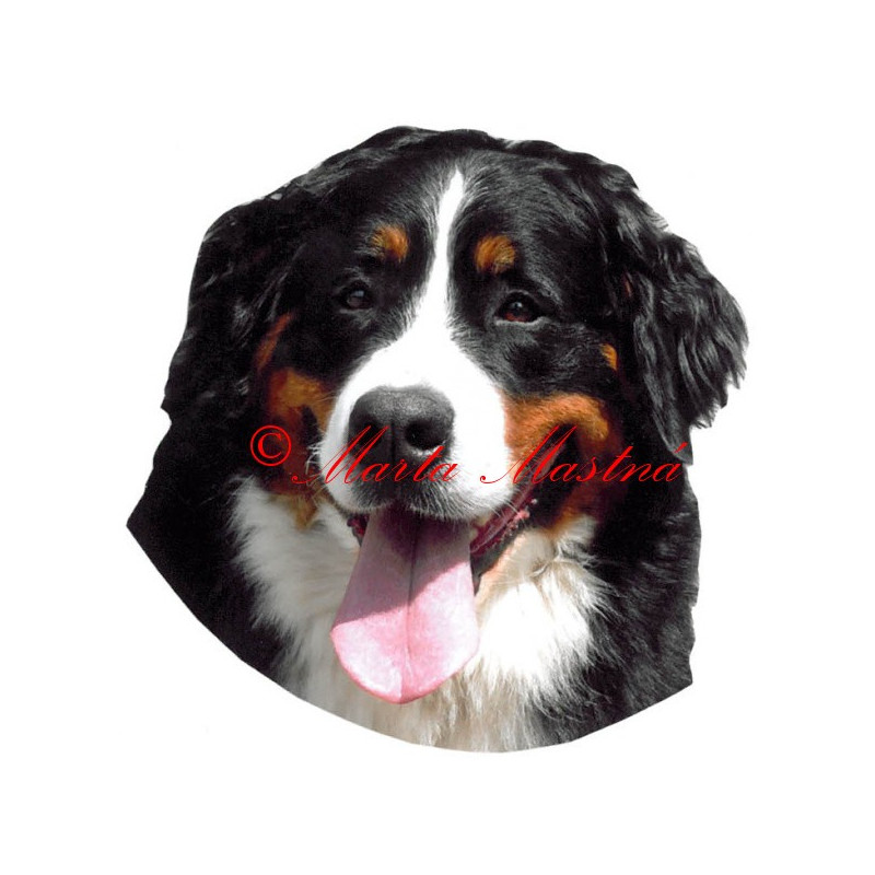 Samolepka bernský salašnický pes