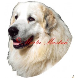 Samolepka pyrenejský horský pes